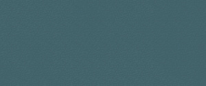 Настенная плитка / Atlas Concorde / Буст Колор /Boost Color / Нави Фрог 50х120 матовый/Navy Frog 50x120 matt