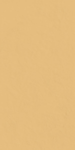 Керамогранит / Италон / Italon / Серфейс / Surface / Сан 60х120пат/ Sun 60x120 пат