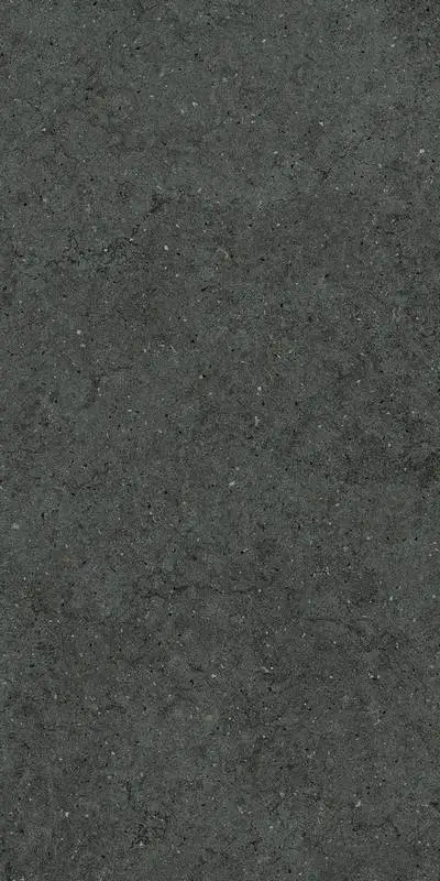 Керамогранит  / Италон / Italon / Forum / Форум/ Стоун Петрол 60x120 / STONE PETROL 60X120