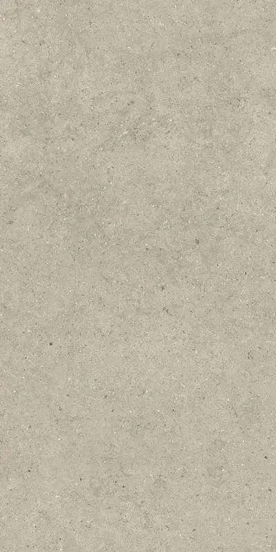 Керамогранит  / Италон / Italon / Forum / Форум/ Стоун Дезерт 60x120 / STONE DESERT 60X120