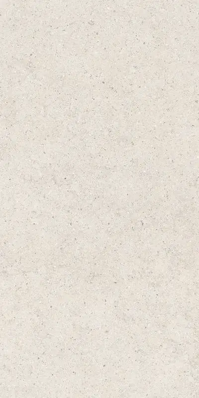 Керамогранит  / Италон / Italon / Forum / Форум/ Стоун Полар 60x120 / STONE POLAR 60X120