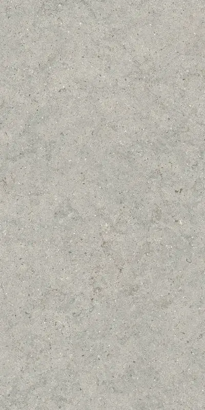 Керамогранит  / Италон / Italon / Forum / Форум/ Стоун Сильвер 60x120 / STONE SILVER 60X120