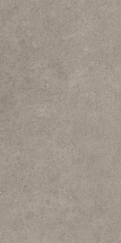 Керамогранит / Atlas Concorde Russia /Forte Dei Marmi Rock/ Форте Дей Марми Рок / Лунар Грей 80х160 Рет.  / Lunar Grey Rett 80x160
