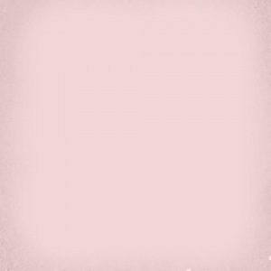 Керамогранит / Vives Ceramica / /вивес брента/Vives Brenta / /1900 роса 20кс20/1900 Rosa 20x20