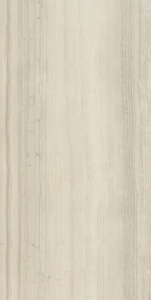 Керамогранит / Италон/ Italon / Шарм Эдванс/Charme Advance / Силк Грей 60x120пат/ Silk Grey 60x120 пат