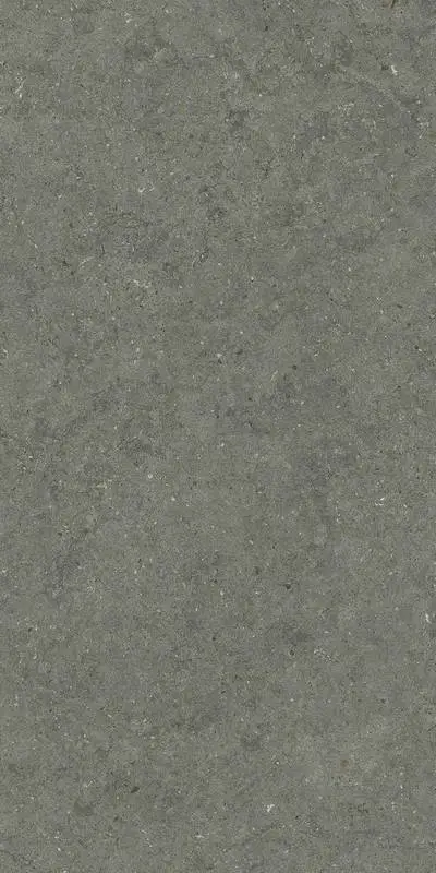Керамогранит  / Италон / Italon / Forum / Форум/ Стоун Айрон 60x120 / STONE IRON 60X120