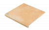 Клинкерная ступень Westerwaelder WKS31210 Naturabeige/натуральный бежевый/ (310*320*9,5)
