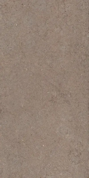Керамогранит  / Италон / Italon / Diskaver / Дискавер / Дезерт 60x120 рет.  / Desert 60X120 Ret