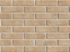 Клинкерная плитка ELEMENT KLINKER /  Кирпичный Лофт /  Соль матовый /Loft Brick Salt mat 6.5х24.5х0.9