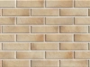 Клинкерная плитка ELEMENT KLINKER / Ретро/ Кирпич Соль матовый / Retro / Brick Salt mat 6.5х24.5х0.9