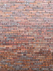 Клинкерный кирпич Laterem Antique LA113 290x85x52 пустотелый